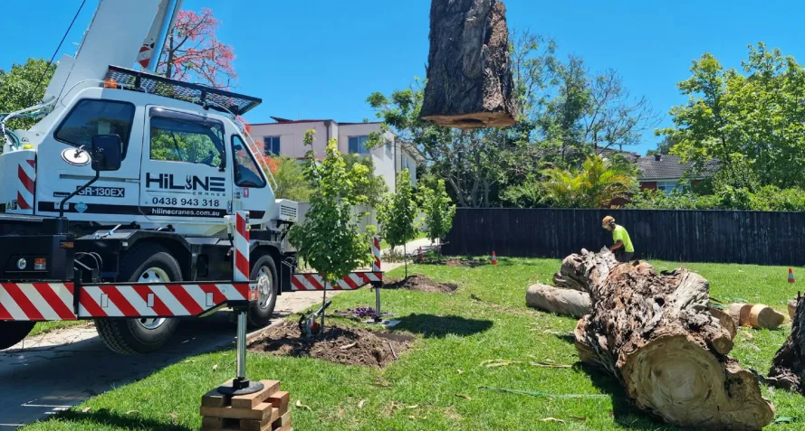 emergency tree remove bartow fl emergency tree remove bartow fl