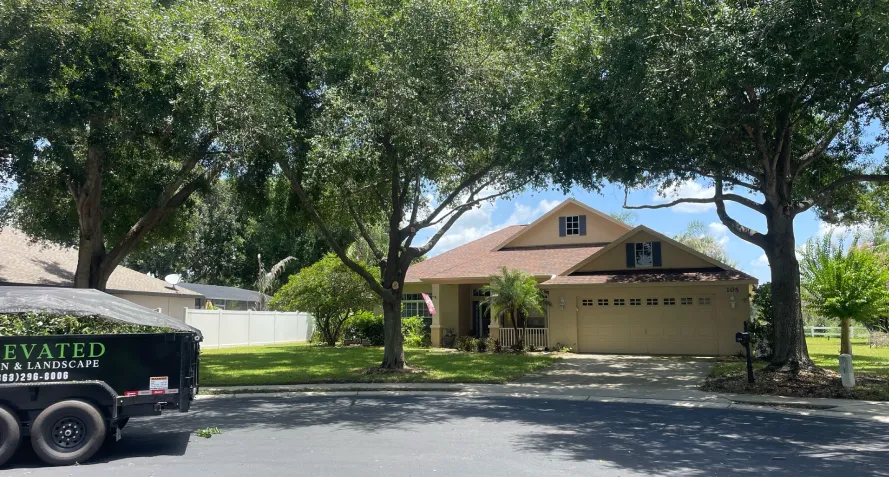 tree trim prune bartow fl